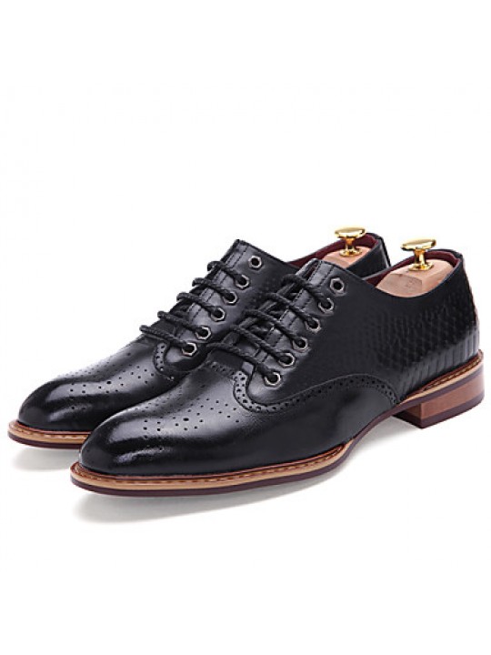 Men's Shoes Office & Career / Party & Evening / Casual Oxfords Black / Brown  